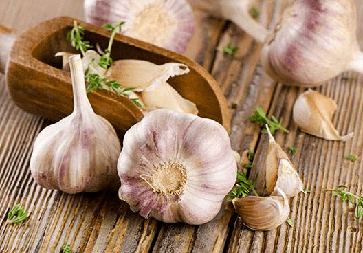 Küüslauk on usside parim vahend